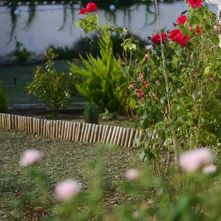 Gelsomino Garden Флоренция